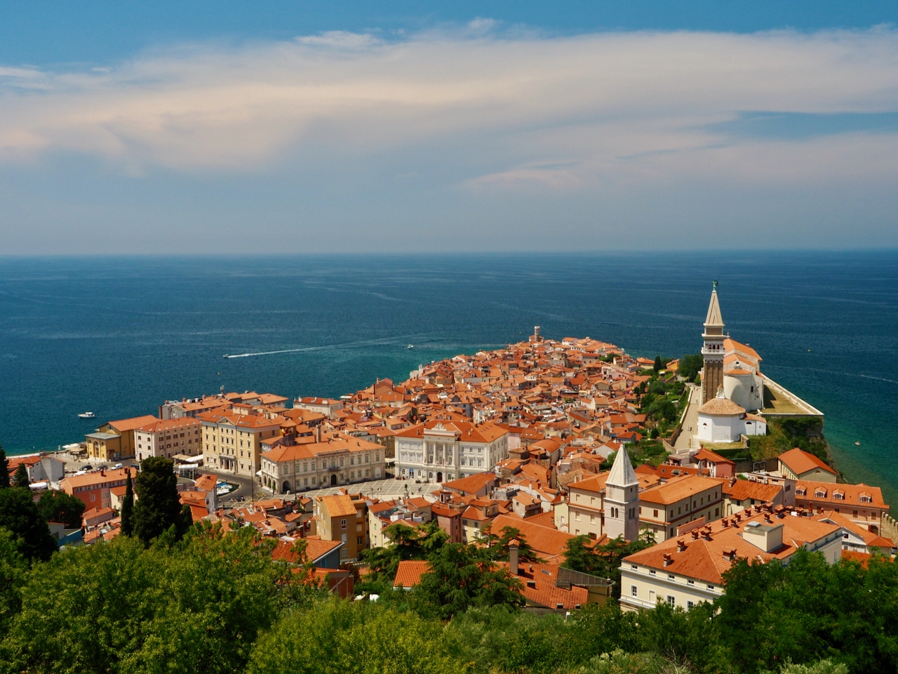 Blick von oben auf Piran mit Tartiniplatz, roten Dächern und dem Meer.