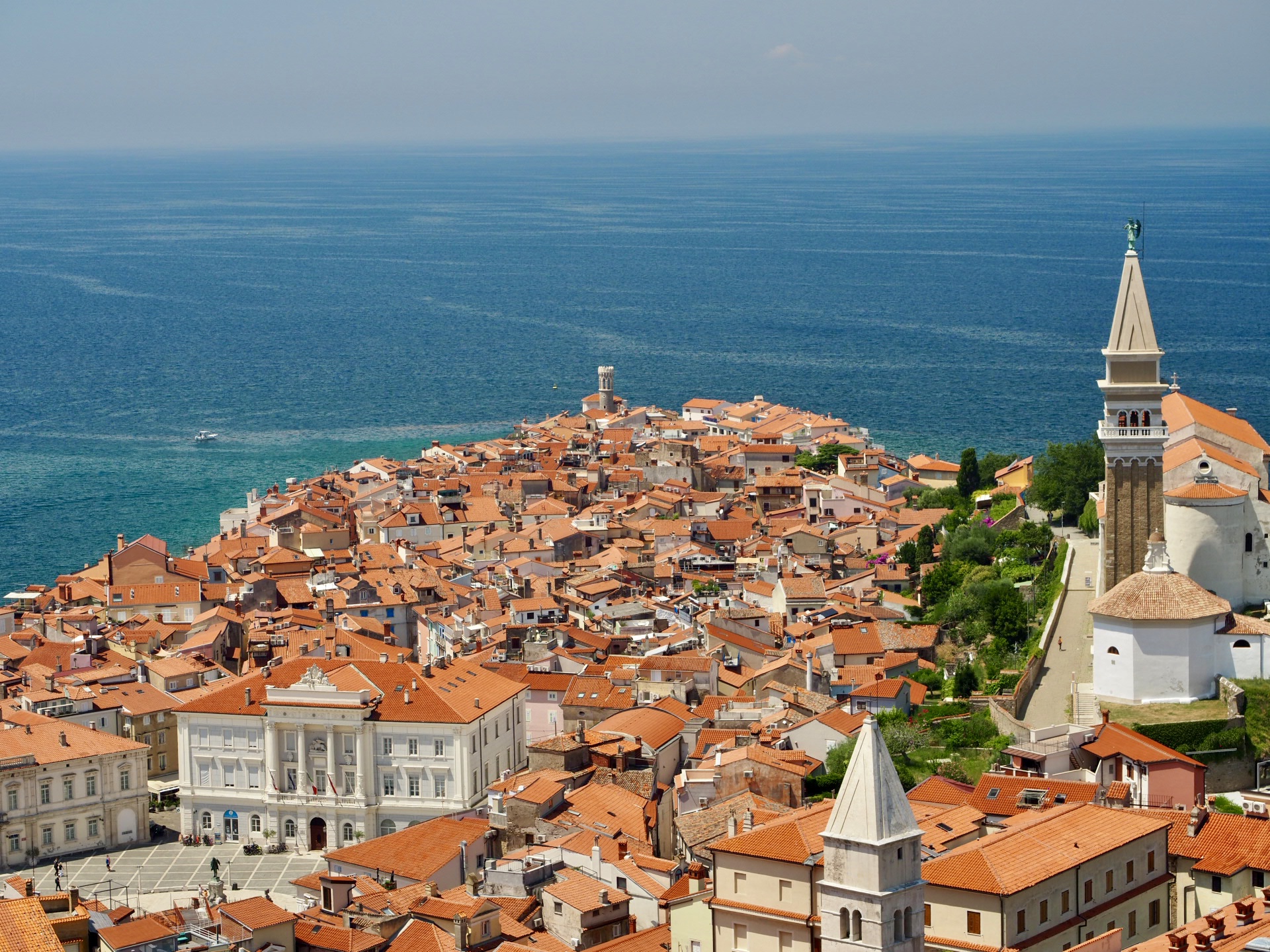 Piran von oben mit roten Dächern und Meer
